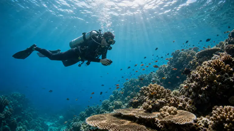 수중 샷 / Underwater Shot