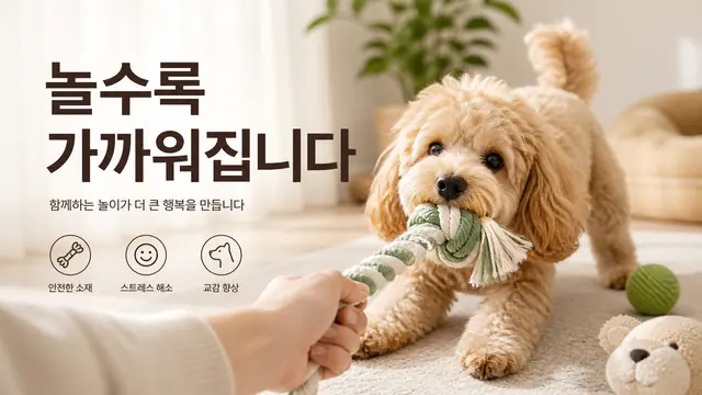 거실의 행복한 말티푸