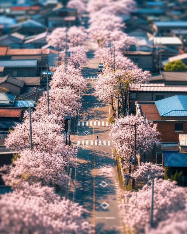 틸트 시프트 / Tilt-Shift