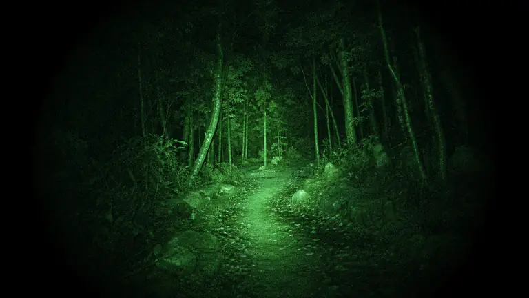 야간 투시경 뷰 / Night Vision