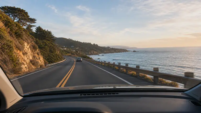 대시캠 뷰 / Dashcam