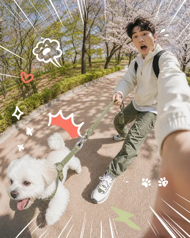 산책 주도권 역전 셀피