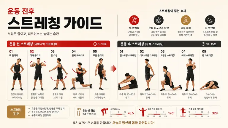 운동 스트레칭 가이드