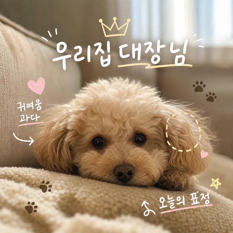 댕댕이 관찰 스티커