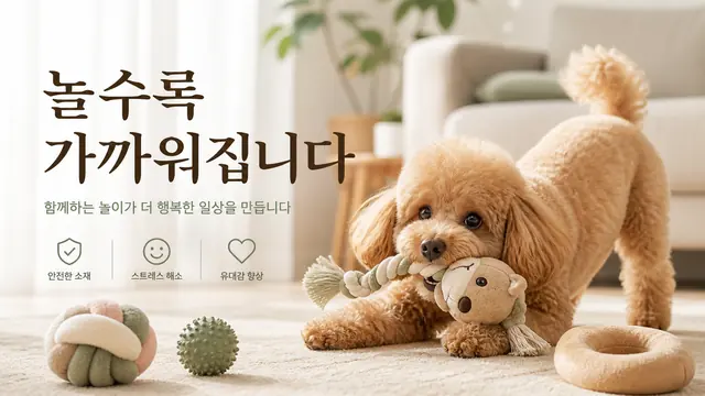 반려동물 장난감 비주얼